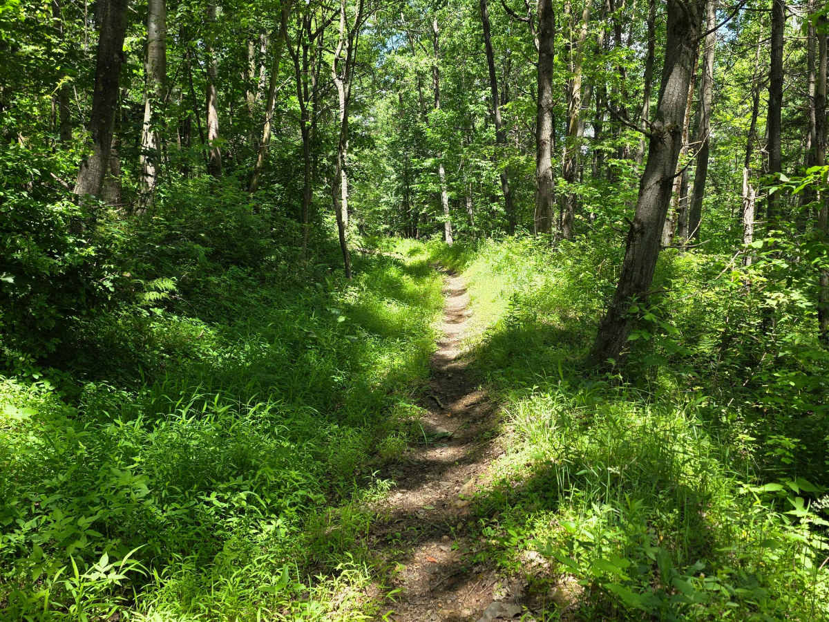 Single Track GG trail photo