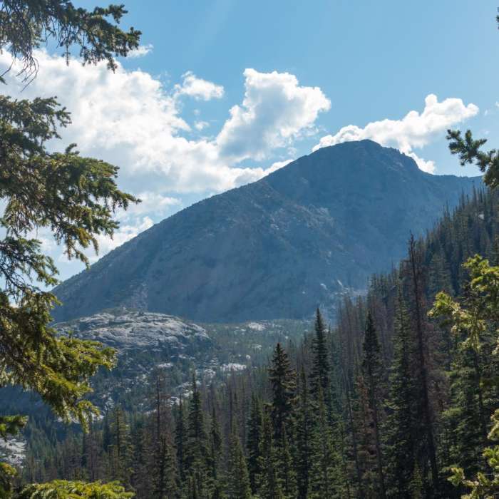 Near Andrews Glacier Trail