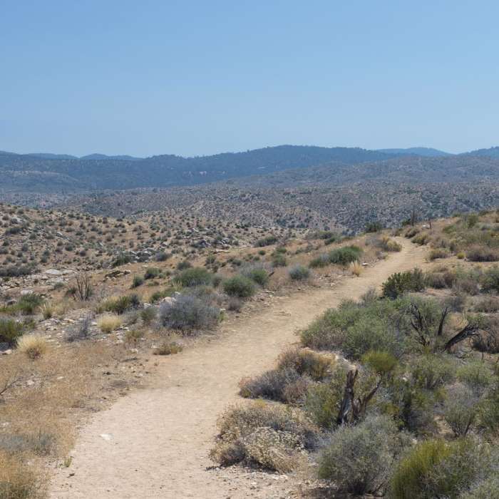 Near Lower Deep Creek Canyon + Warm Springs Near Lower Deep Creek Canyon + Warm Springs