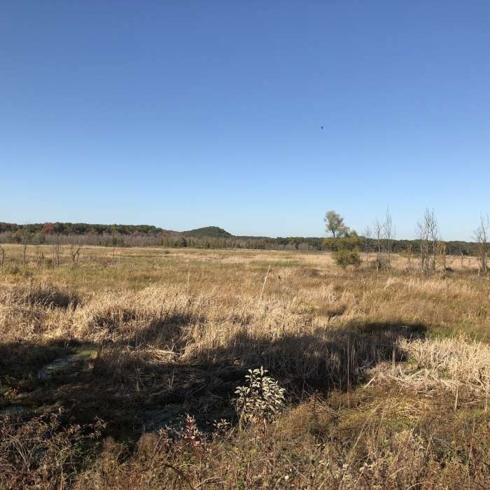 Dunes hike Cowles Bog Trail Near Paul H. Douglas Trail