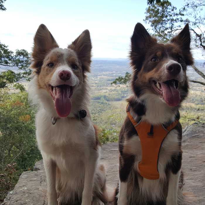 East overlook. Near House Mountain Loop