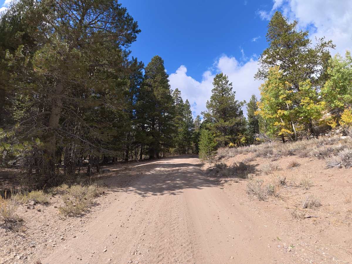 Wolf Creek Spur Road photo 6