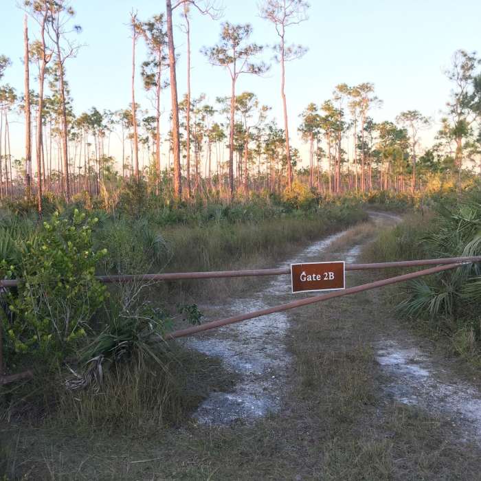 Gate on Long Pine Key Trail Near Long Pine Key Loop
