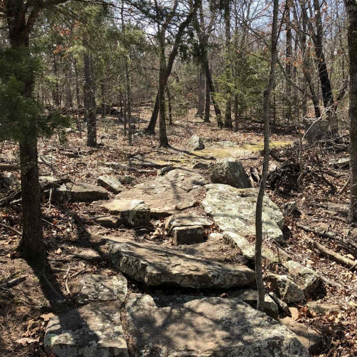 Near Overlook Nature Trail