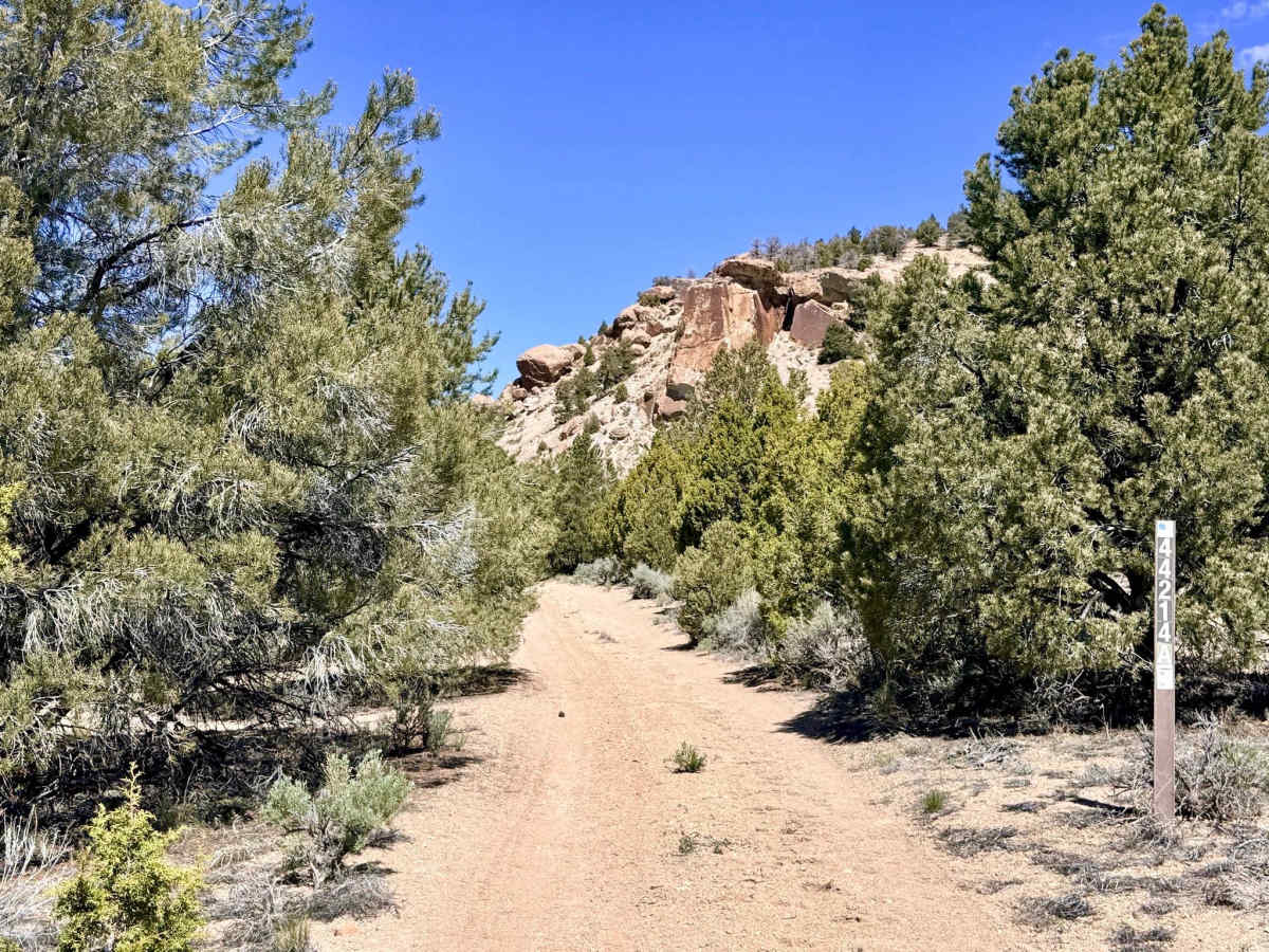 Upper Bald Mountain - FS 44214A photo 4