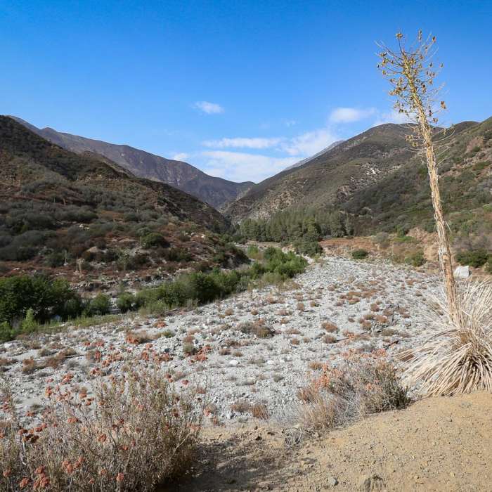 Near Bridge to Nowhere / East Fork San Gabriel River Trail