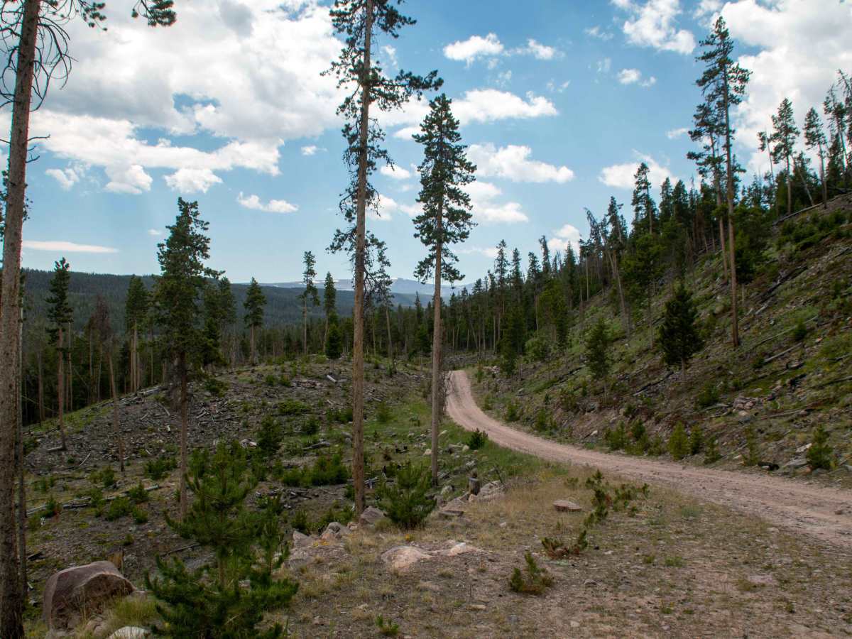 Beaver Meadows - FS 80086 photo 5