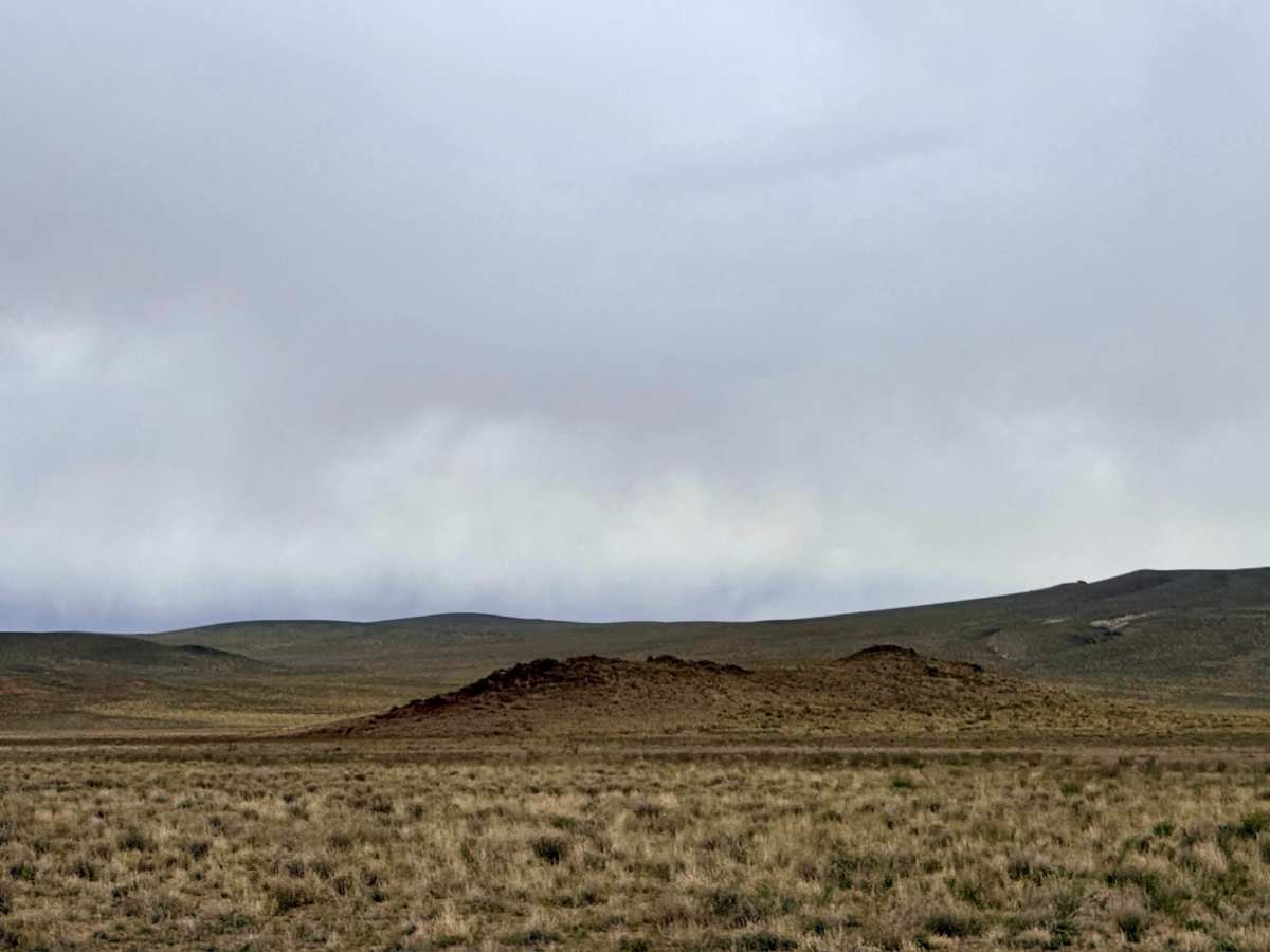 Saulsbury Cutover photo 2