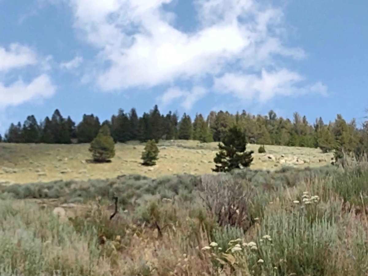 Ratio Mountain Majesty Loop photo 4