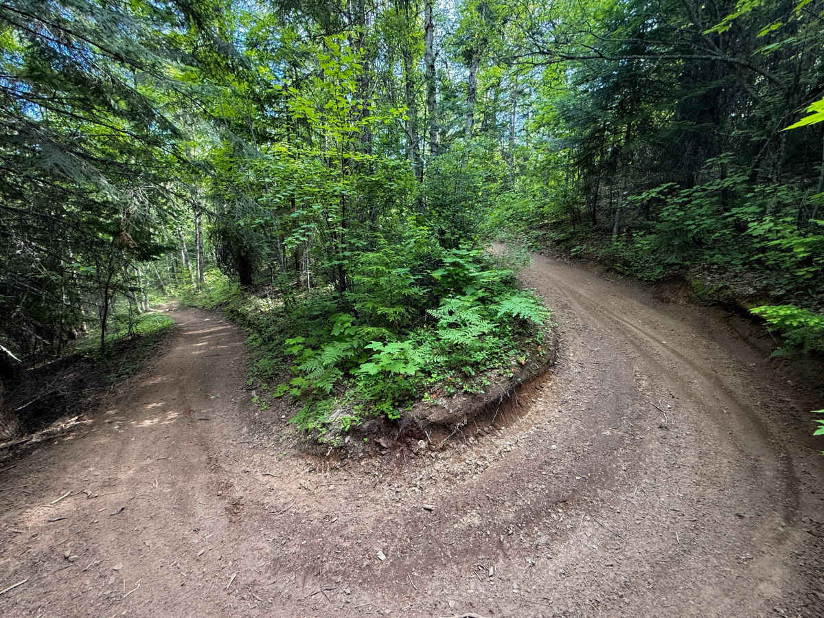 John Wayne Loop photo 3
