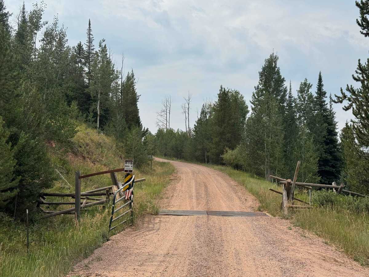 Reed Creek Road - FS 440  photo 3