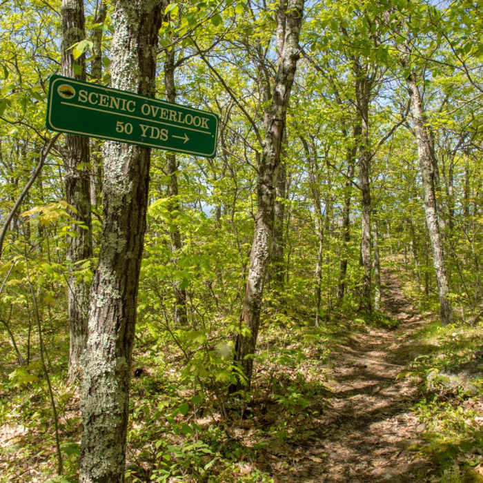 Near Mt. Roberts Near Mt. Roberts