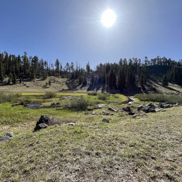 Near Thompson Trail 629