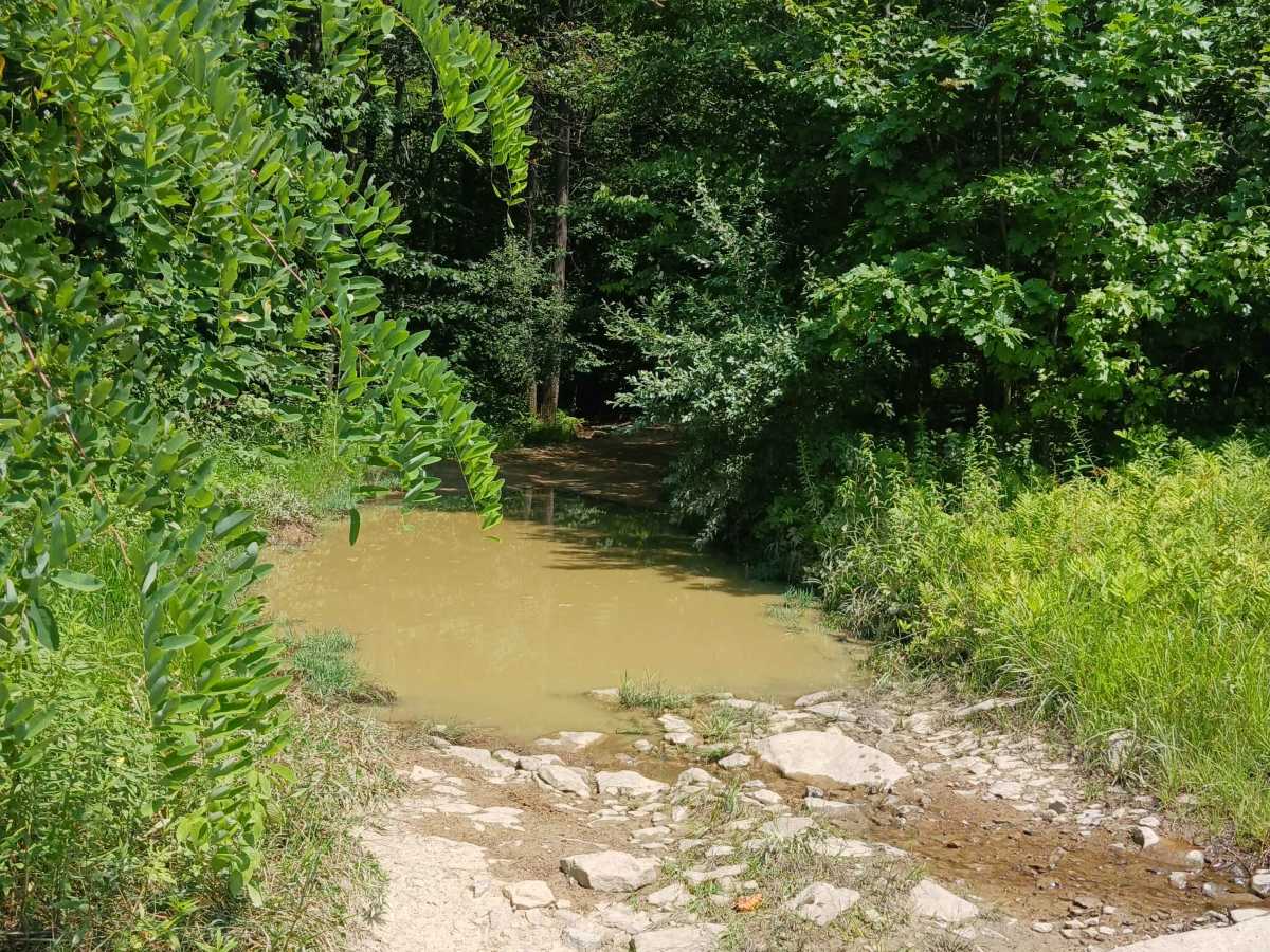 Cherry Run - Rock Run Recreation Area photo 3