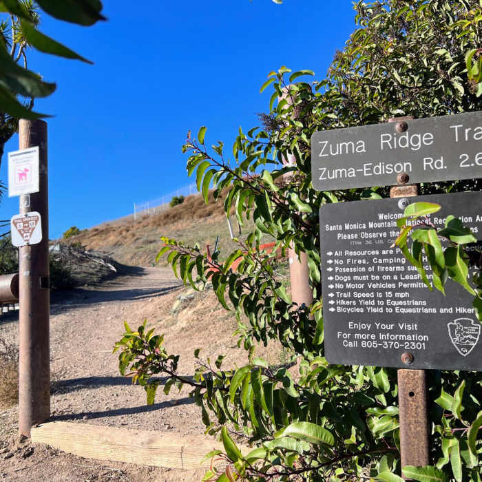 Near Zuma Ridge Motorway