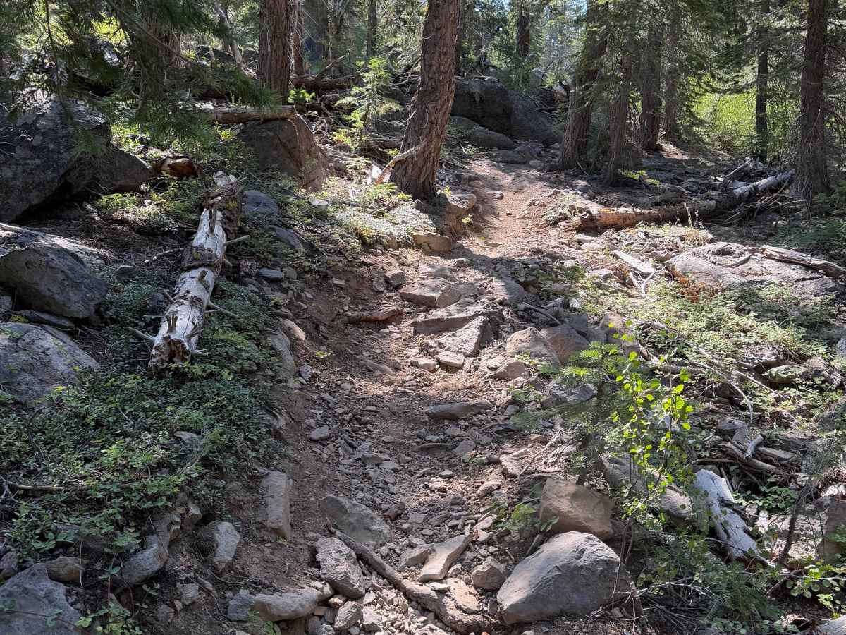 Lower Cena Lar Trail photo 5