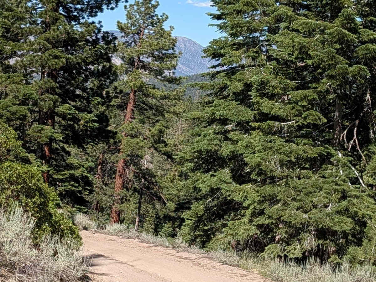 Sawmill Gap Cutoff - FS 3S33 trail photo