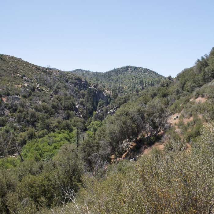 Near Upper Deep Creek Canyon to Devils Hole Near Upper Deep Creek Canyon to Devils Hole