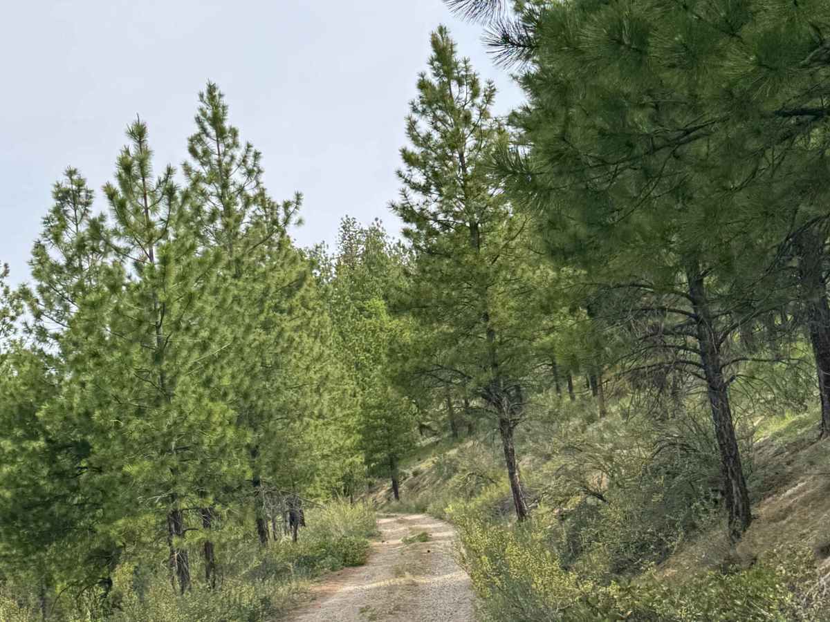 Washington Butte Trail photo 6