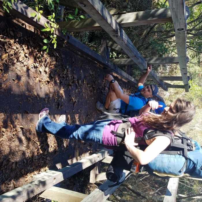 Near Wild Azalea Spur and Kincaid Loop