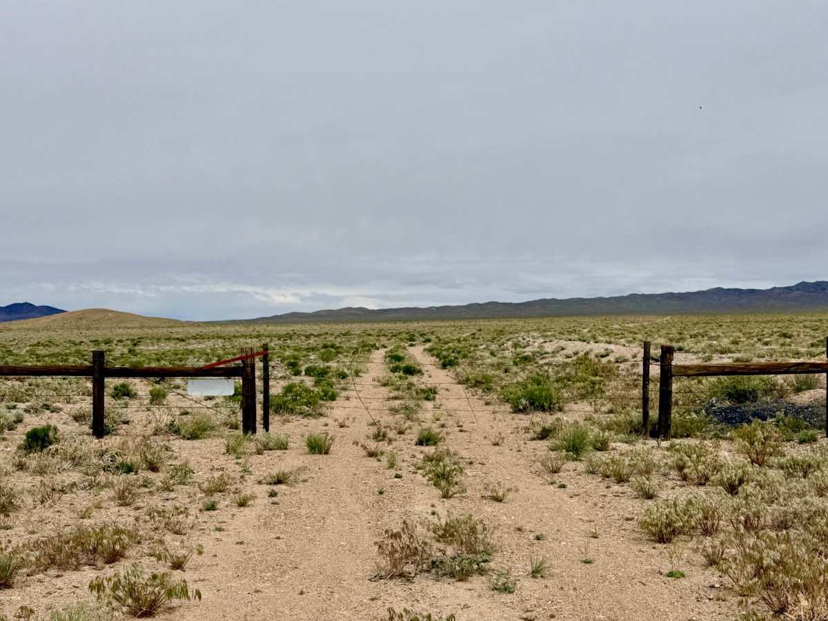 Hannapah Cutoff Road - FS 44505A photo 4