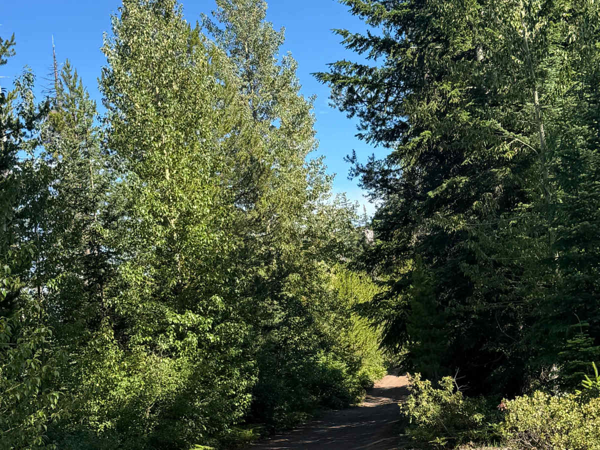 Torso Lake - FS 2076 trail photo