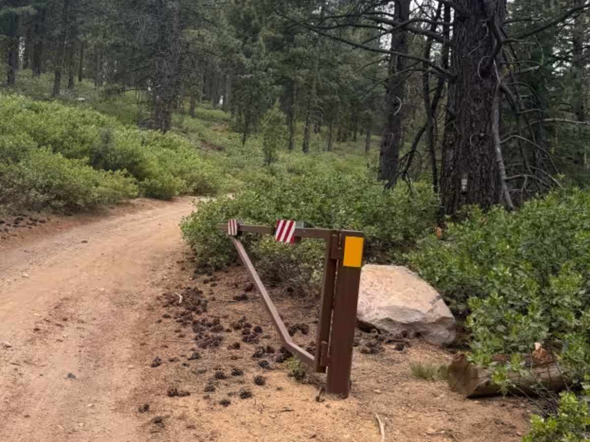 Swede Ridge Road photo 4
