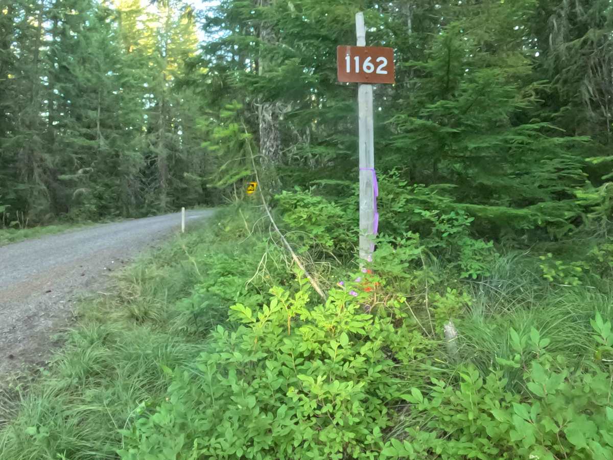 Straight Creek Road - FS 1162000  photo 2