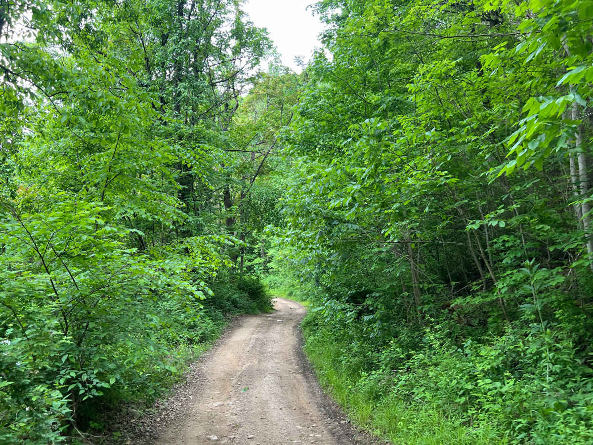Q63 photo 3