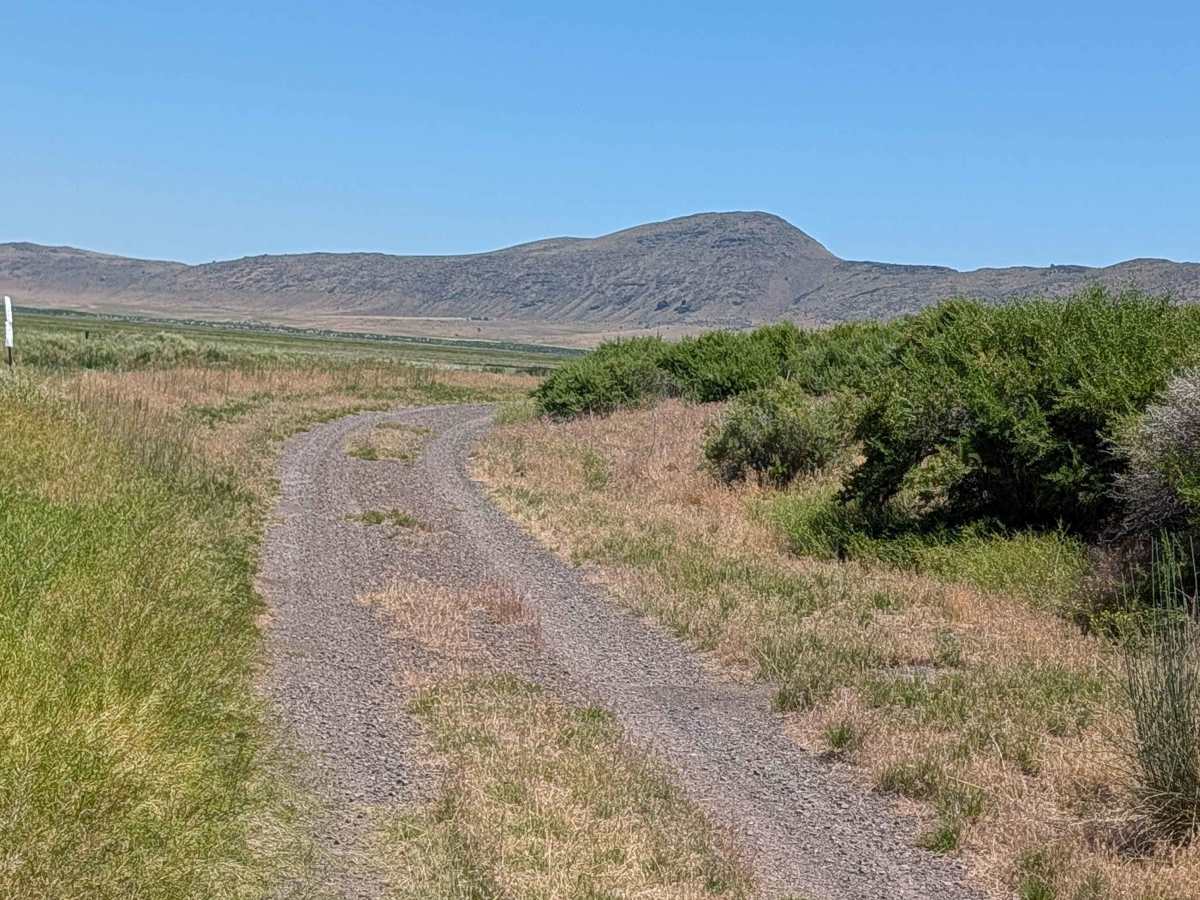 Lower Klamath Road trail photo