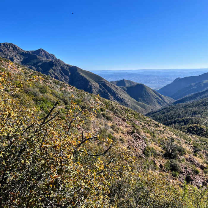 Near Arizona Trail Passage 23: Mazatzal Divide Near Arizona Trail Passage 23: Mazatzal Divide