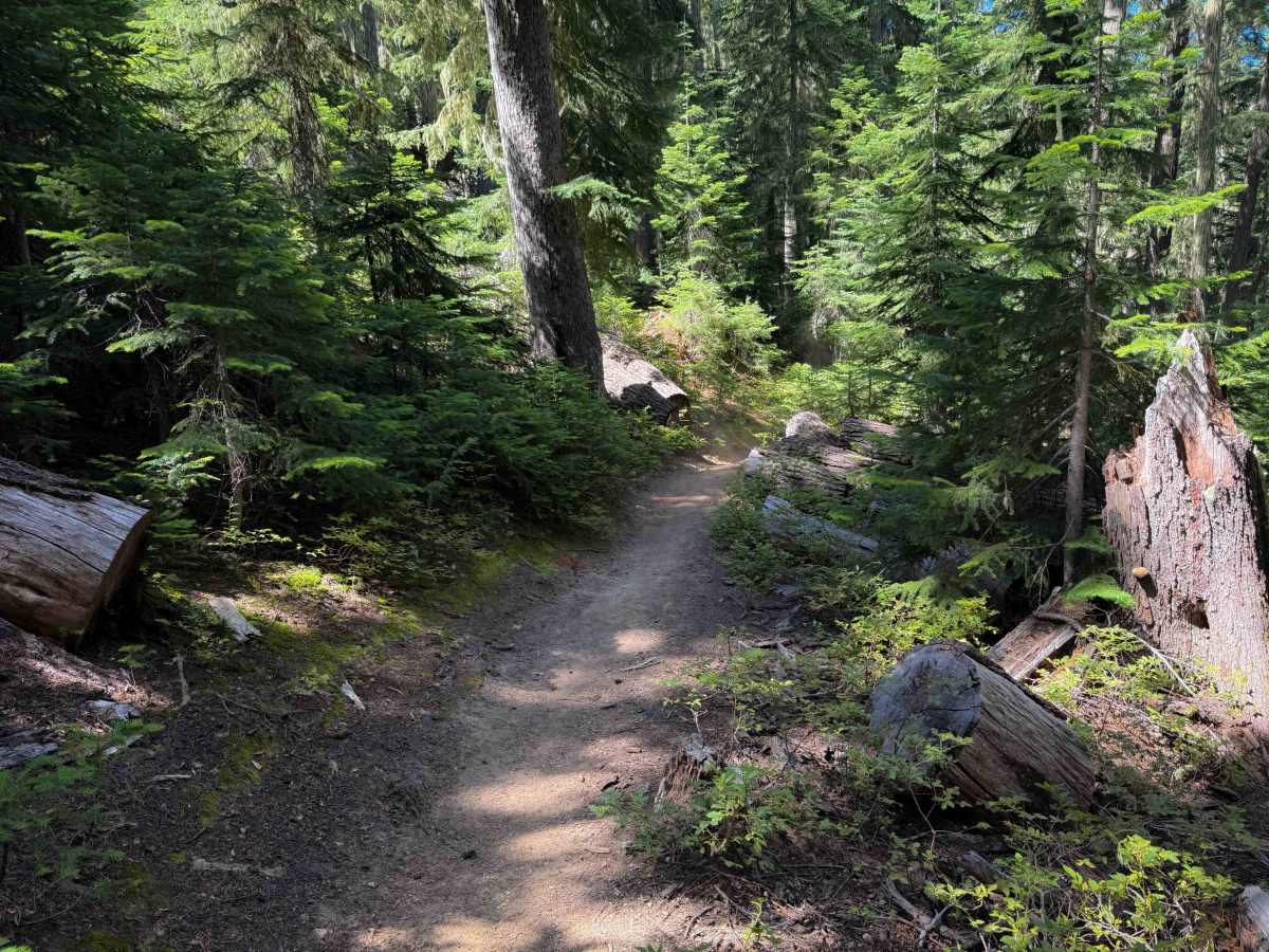 Indigo Lake Trail  photo 6