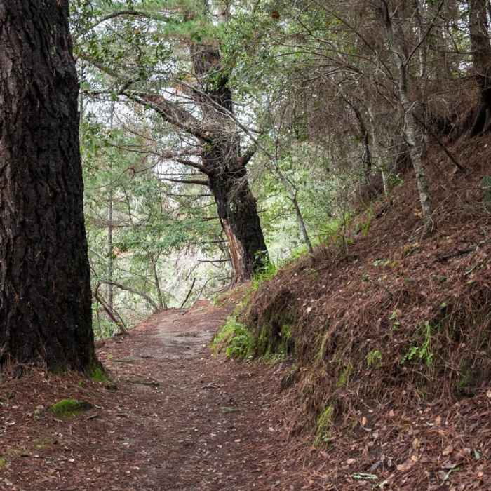 Near La Corona Trail Hike