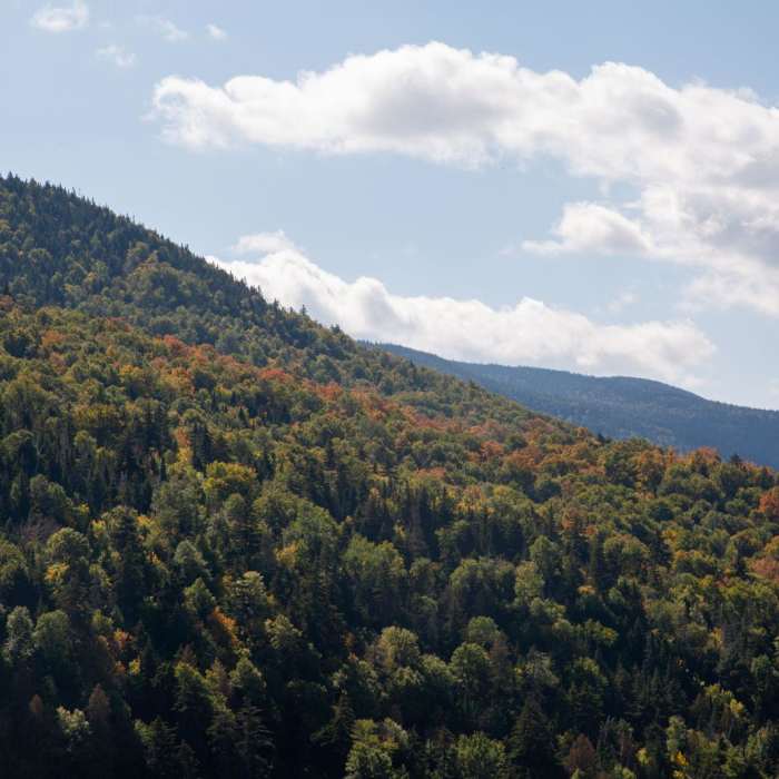 Near Pitchoff Mountain + Balanced Rocks Near Pitchoff Mountain + Balanced Rocks