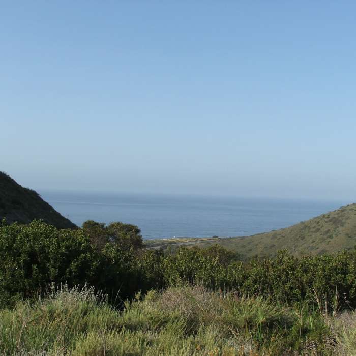 Near Nicholas Pond Loop