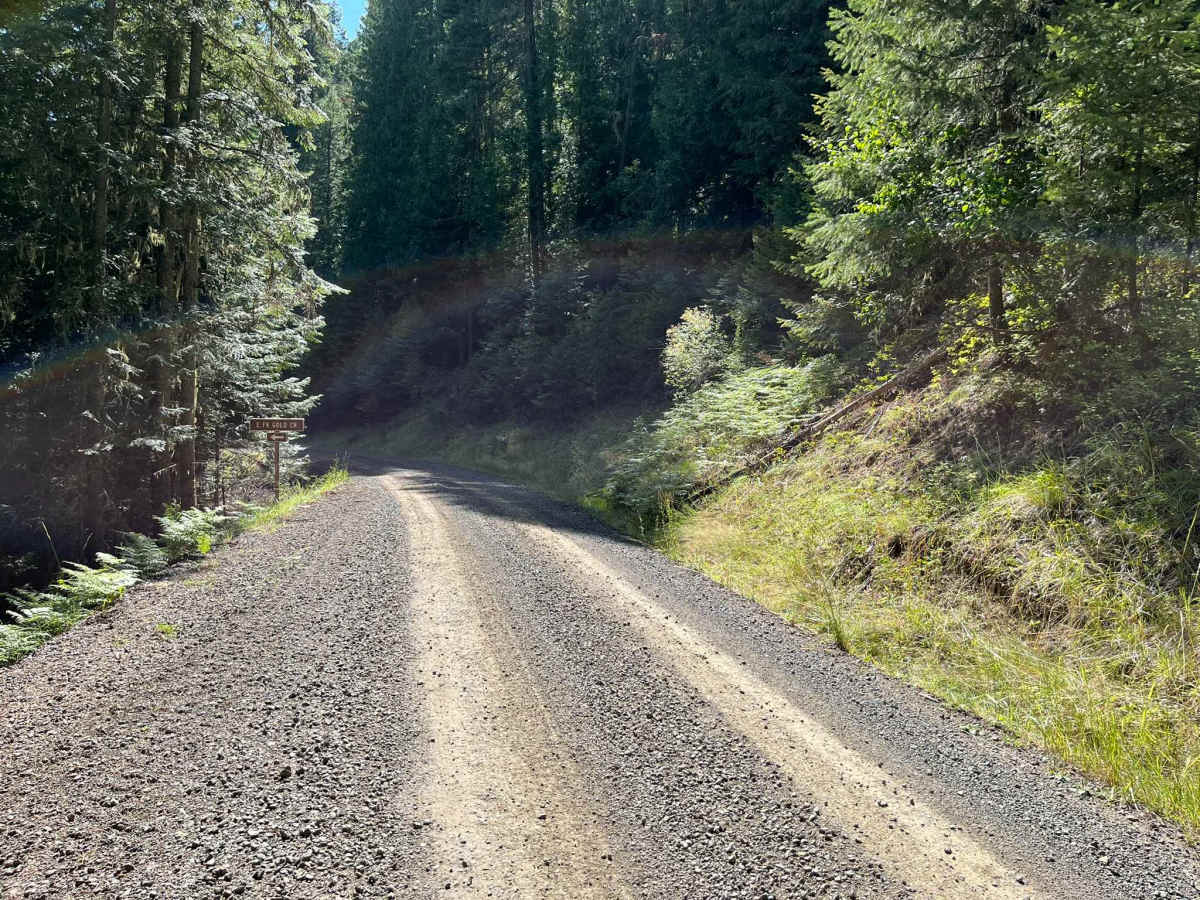 Gold Hill - FS 770 photo 4