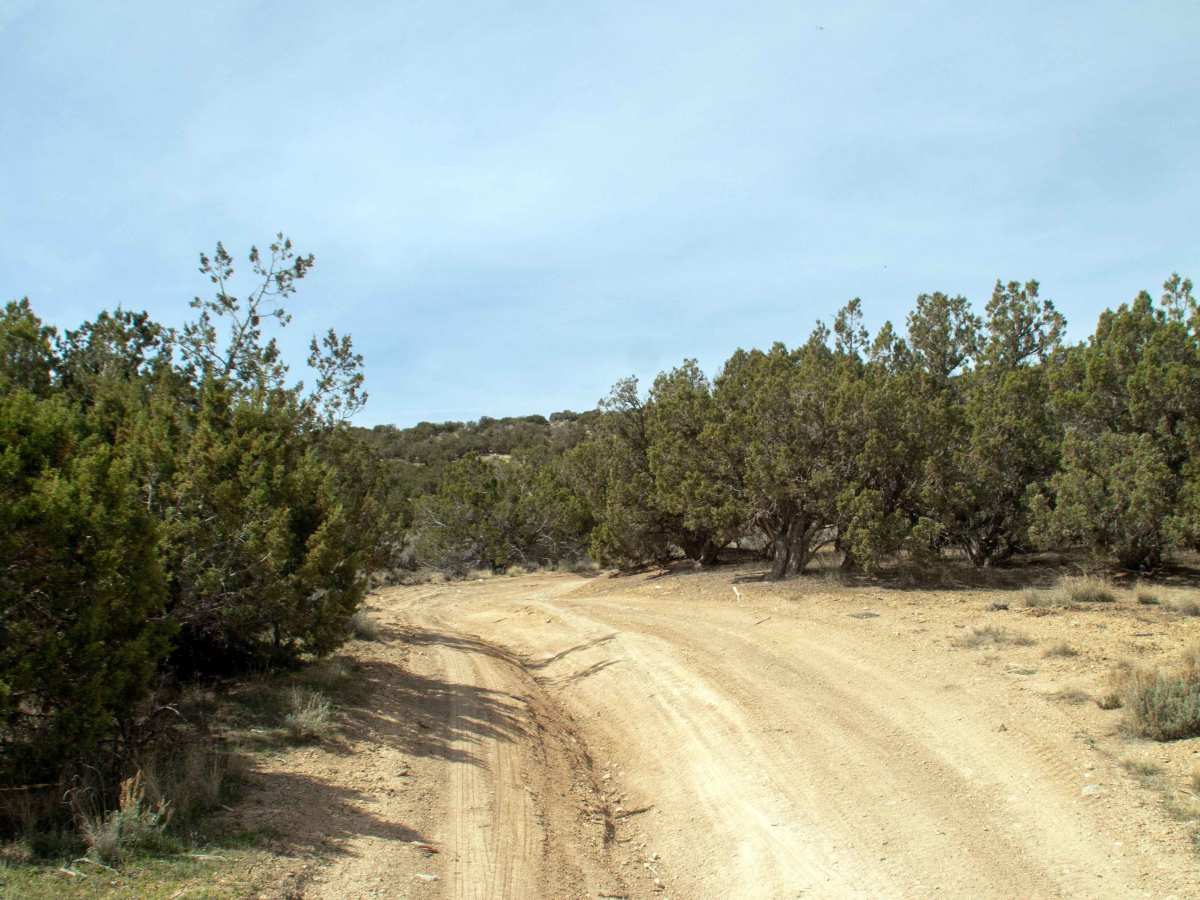 Soldier Pass Spur Trail photo 3