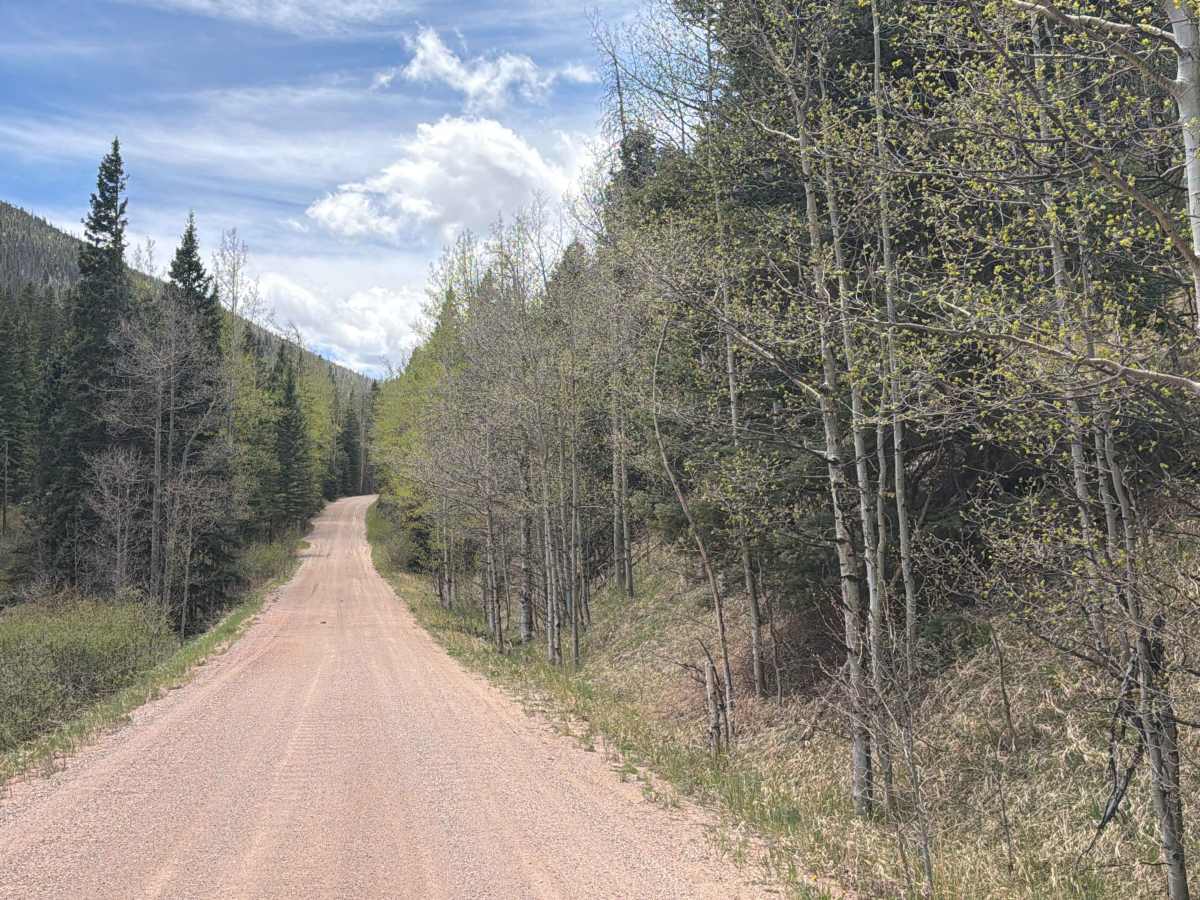 Ophir Creek Road photo 6