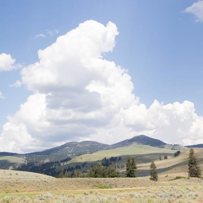 Near Hellroaring Creek Loop