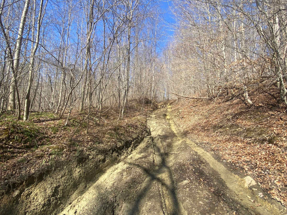 Barnes Buck Road photo 5