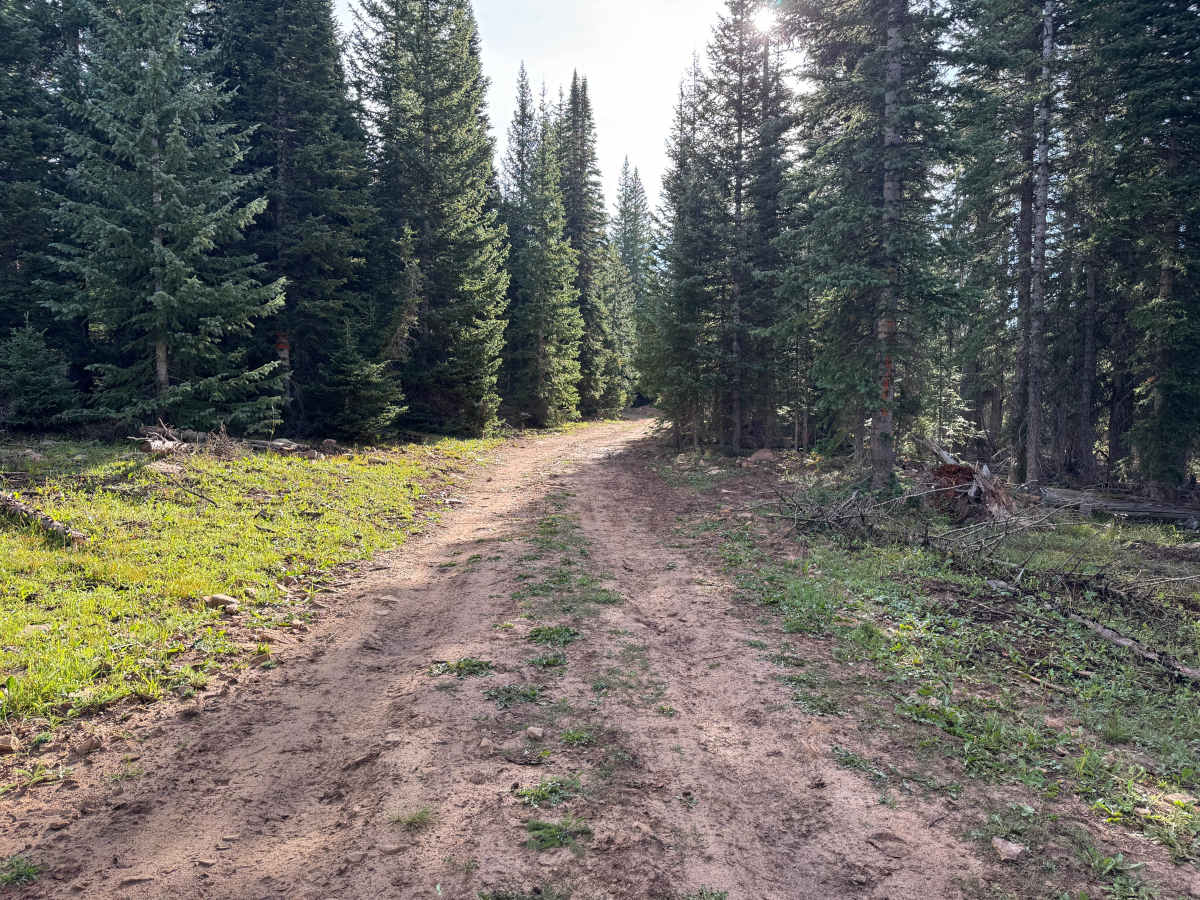 Taylor Creek J Road photo 4