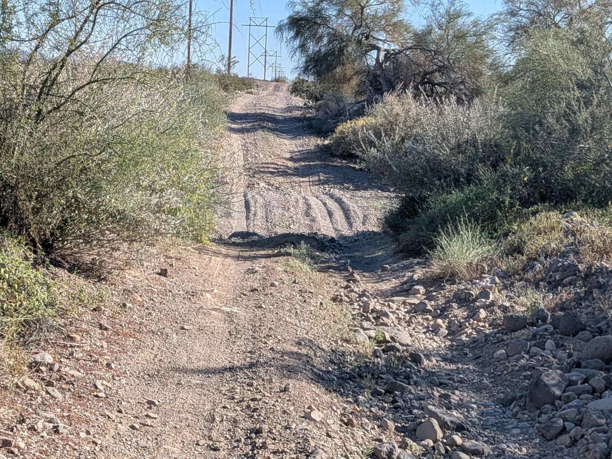 BLM 592 photo 4