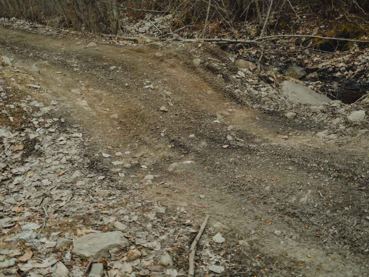 Lebanon Lake Trail photo 5