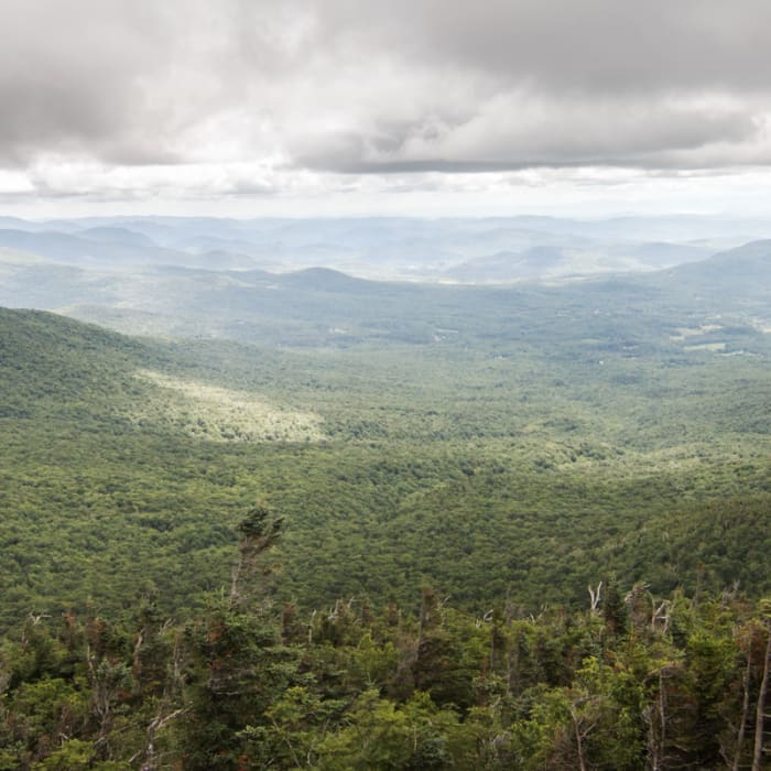 Near Halfway House Trail to Sunset Ridge Near Halfway House Trail to Sunset Ridge