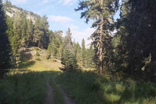 Hay Canyon Trail