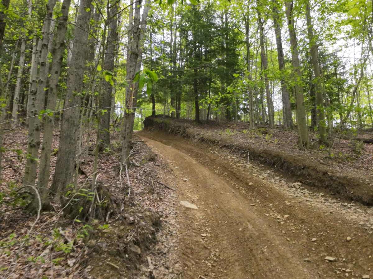 I Blue trail photo
