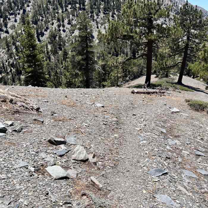 Near Dawson Peak via Ski Hut