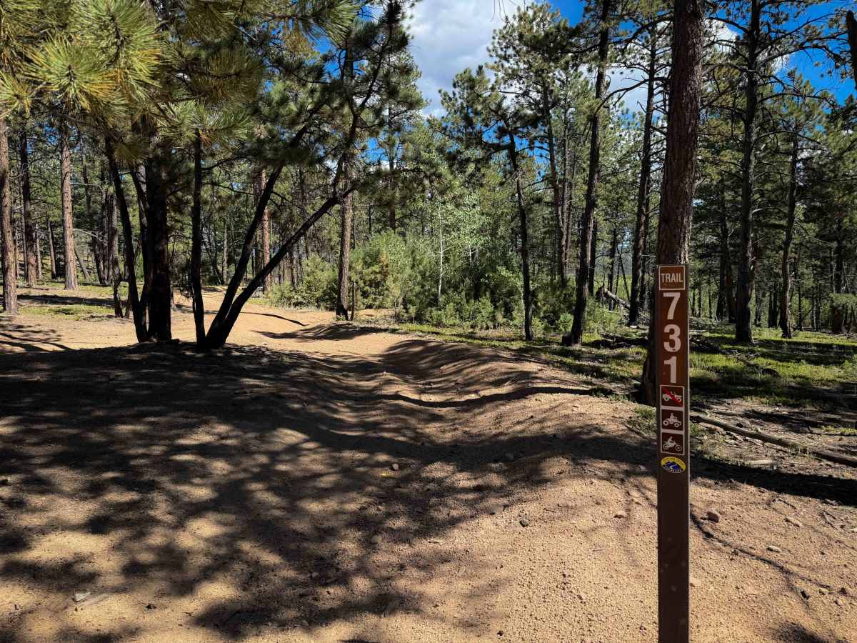 Turkey Creek 731  photo 3