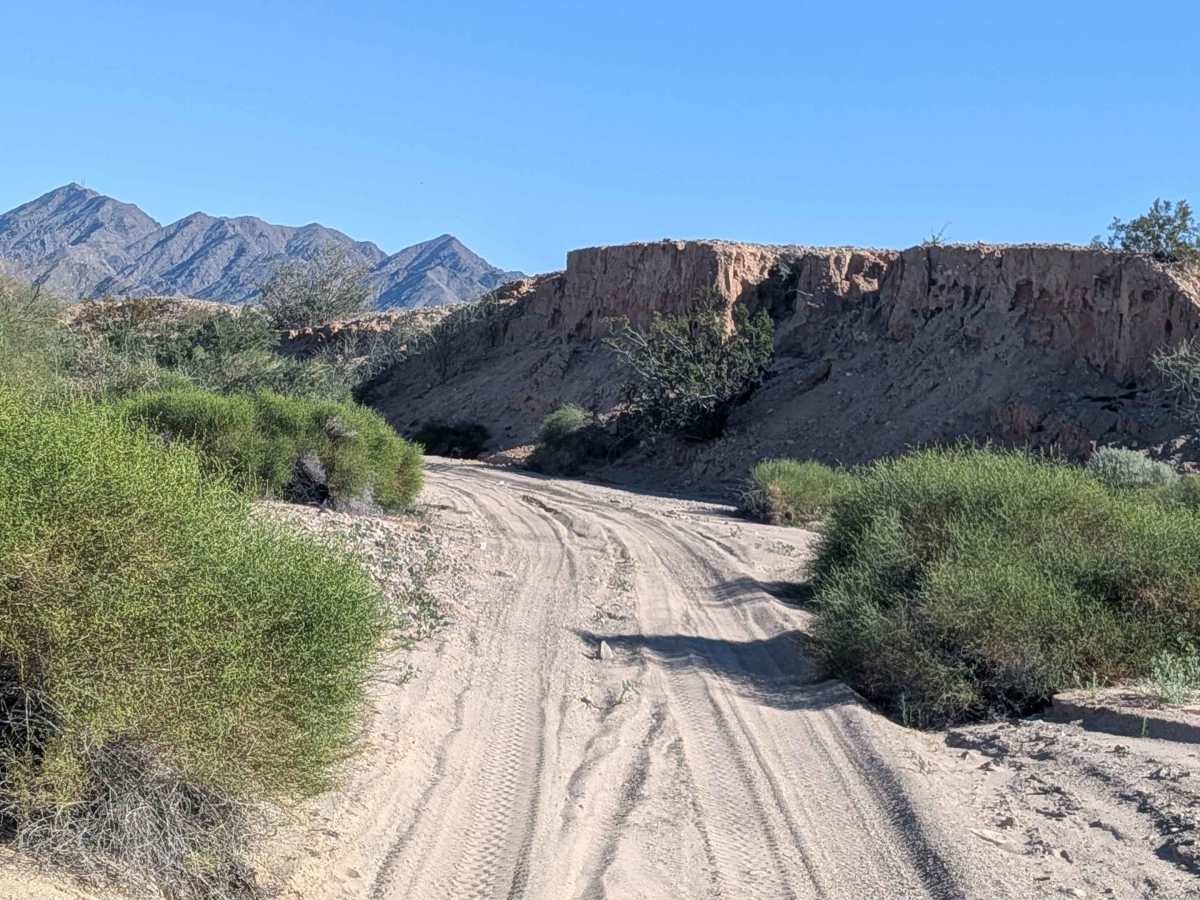 EC1270 trail photo