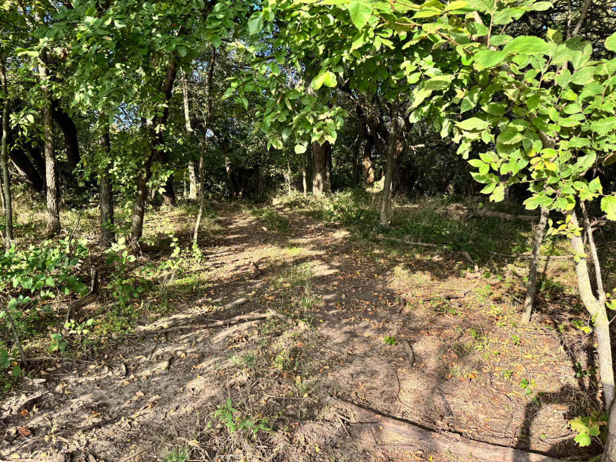 Rev Limiter Climb photo 4
